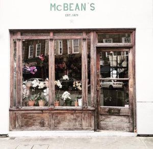 mcbeans-orchids-storefront