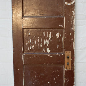 5 Panel Door