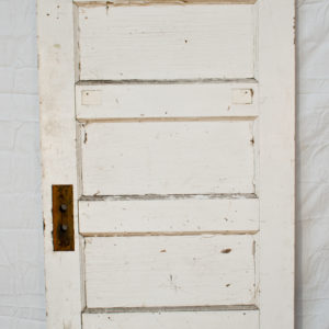 5 Panel Door