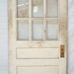 Divided Light Door
