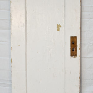 Single Panel Door