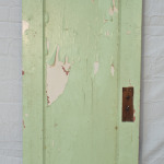 Single Panel Door