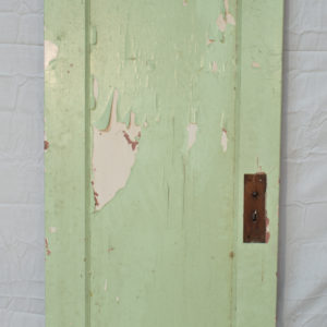 Single Panel Door