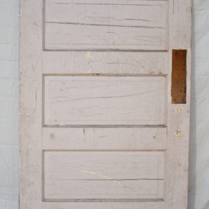 5 Panel Door
