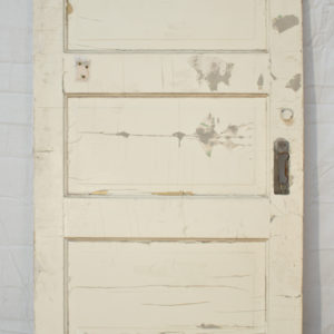 5 Panel Door