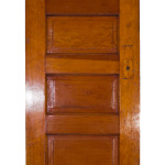 5 Panel Door